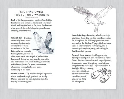 RSPB Pocket Book of Owls