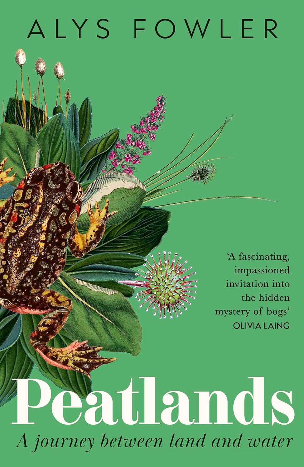Peatlands : A Journey Between Land and Water