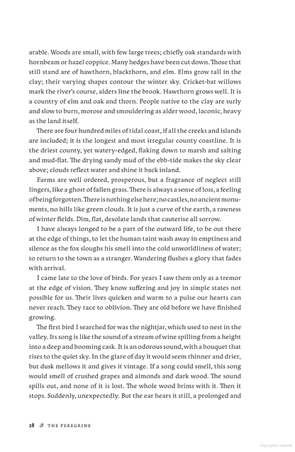 The Peregrine: 50th Anniversary Edition: Afterword by Robert Macfarlane