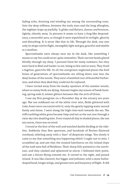 The Peregrine: 50th Anniversary Edition: Afterword by Robert Macfarlane