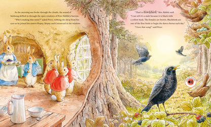 Peter Rabbit: Peter's Nature Walk