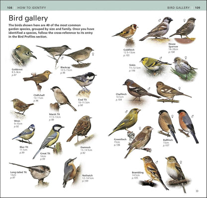 RSPB Pocket Garden Birdwatch (Used)