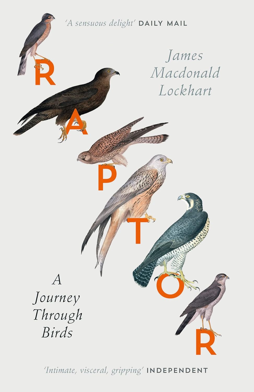 Raptor: A Journey Through Birds – Nature Bound Books