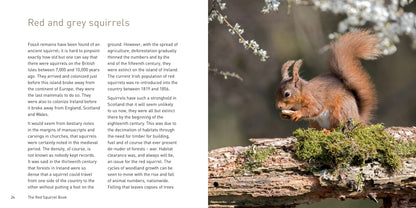 The Red Squirrel Book