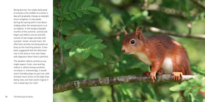 The Red Squirrel Book