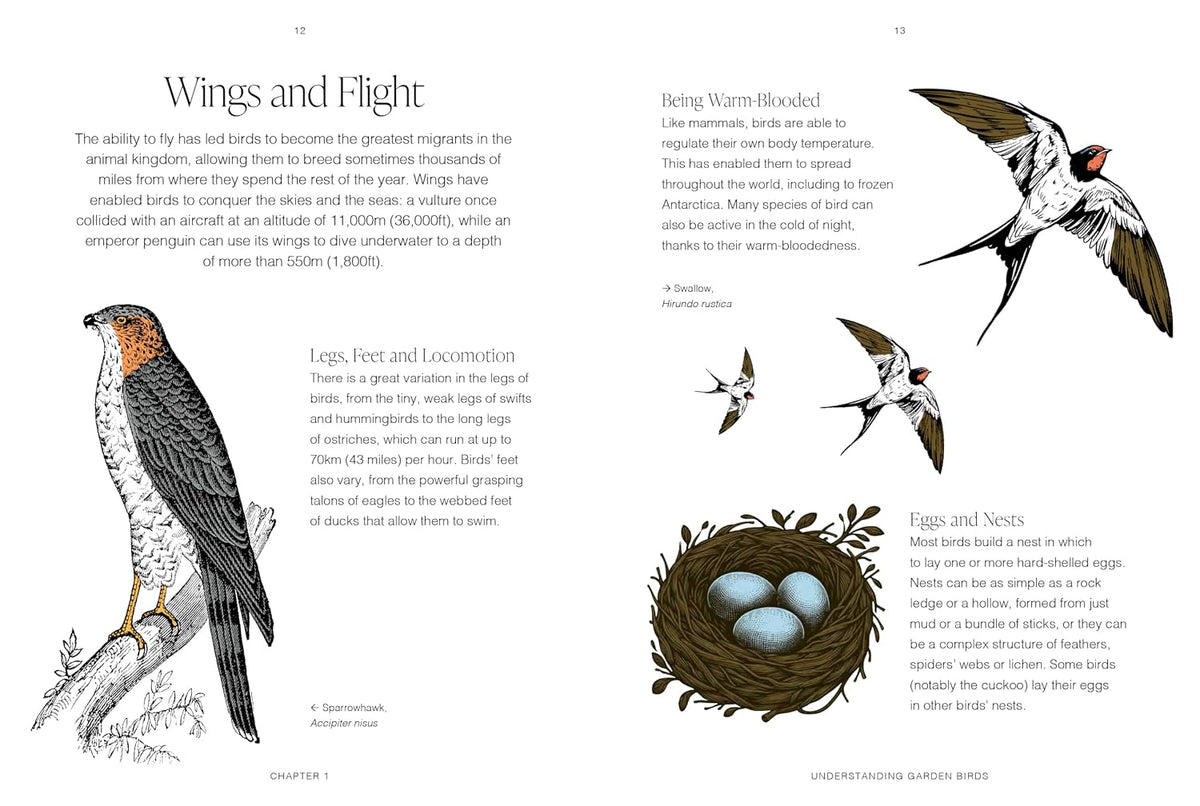 RHS Garden Birds: A pocket guide