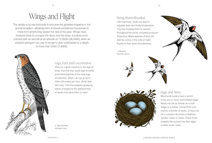 RHS Garden Birds: A pocket guide