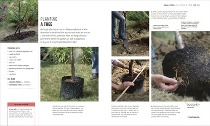 RHS How to Garden When You're New to Gardening