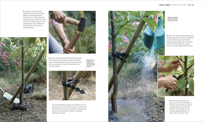 RHS How to Garden When You're New to Gardening