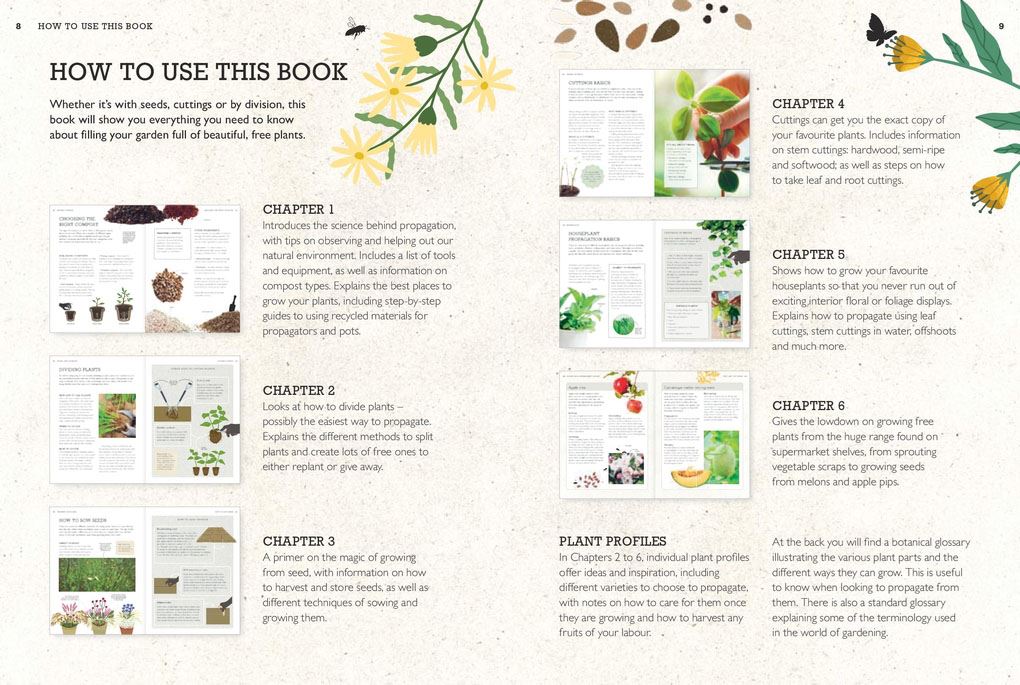 How to Grow Plants for Free (RHS)