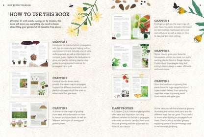 How to Grow Plants for Free (RHS)