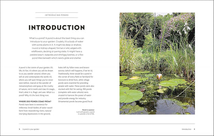RHS How to Create a Wildlife Pond: Plan, Dig, and Enjoy a Natural Pond in Your Own Back Garden