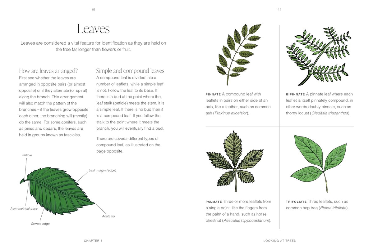 RHS Trees: A pocket guide