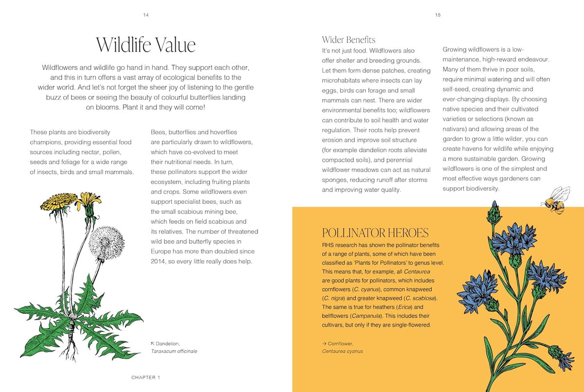 RHS Wildflowers: A pocket guide