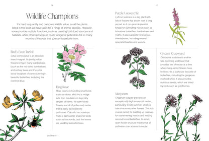 RHS Wildflowers: A pocket guide