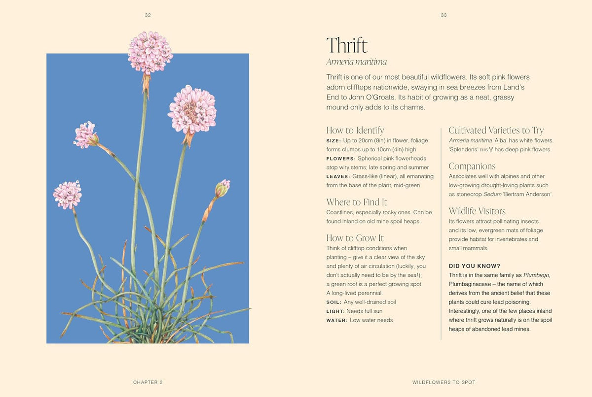 RHS Wildflowers: A pocket guide