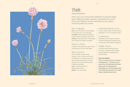 RHS Wildflowers: A pocket guide
