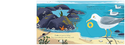 Big Outdoors for Little Explorers: Seaside