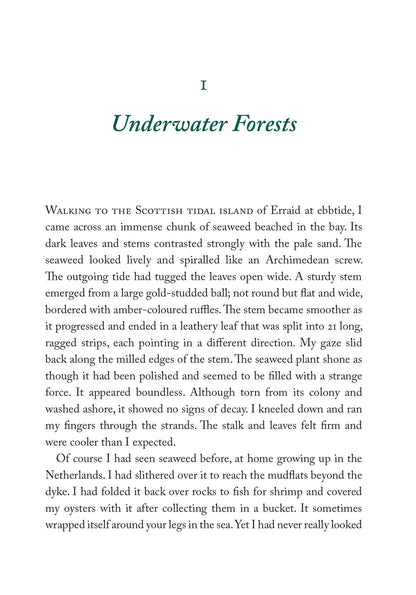 The Seaweed Collector's Handbook