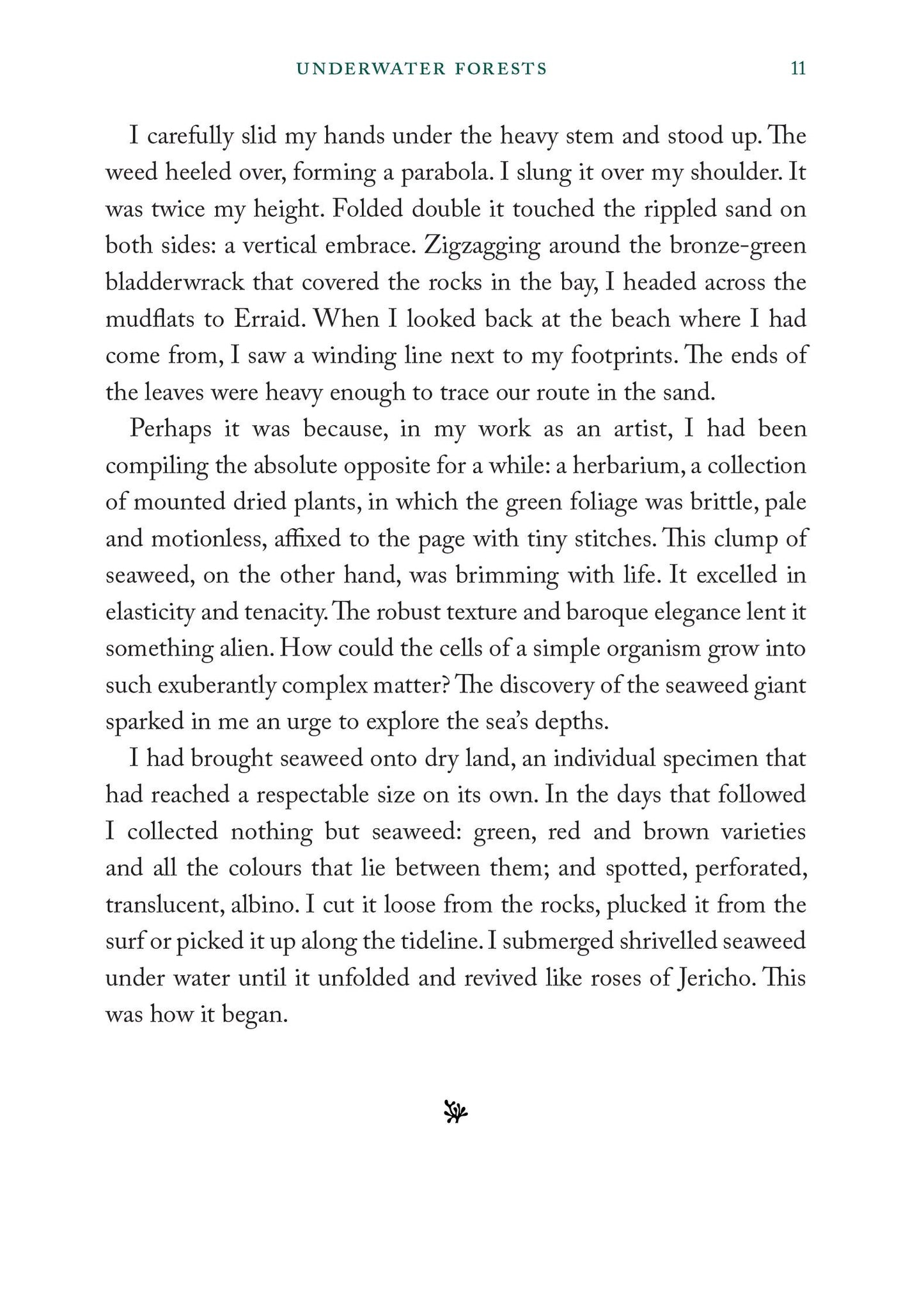 The Seaweed Collector's Handbook