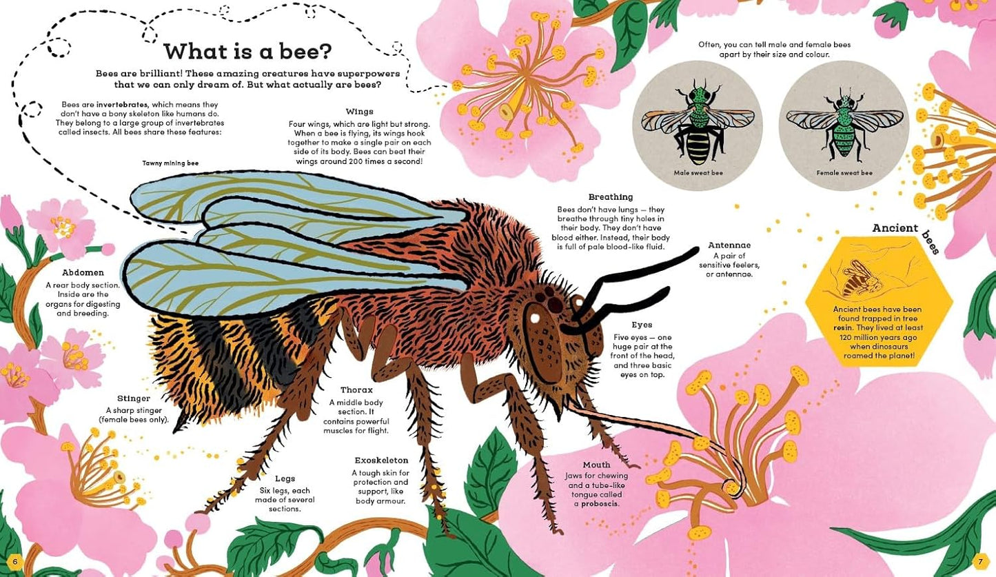 Secrets of Bees: Winner of the Wainwright Prize for Children's Non-Fiction 2025