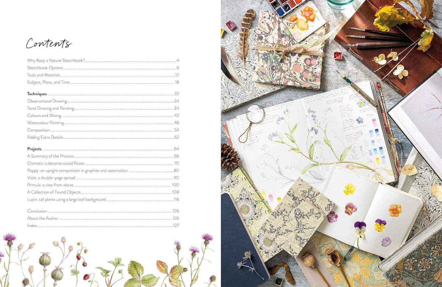 Sketching Nature: The Beginner’s Guide to Keeping a Botanical Sketchbook