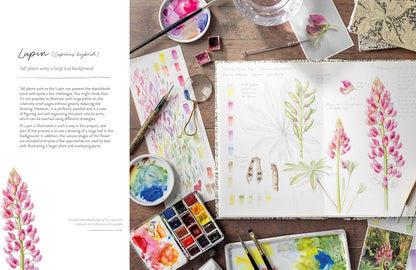 Sketching Nature: The Beginner’s Guide to Keeping a Botanical Sketchbook