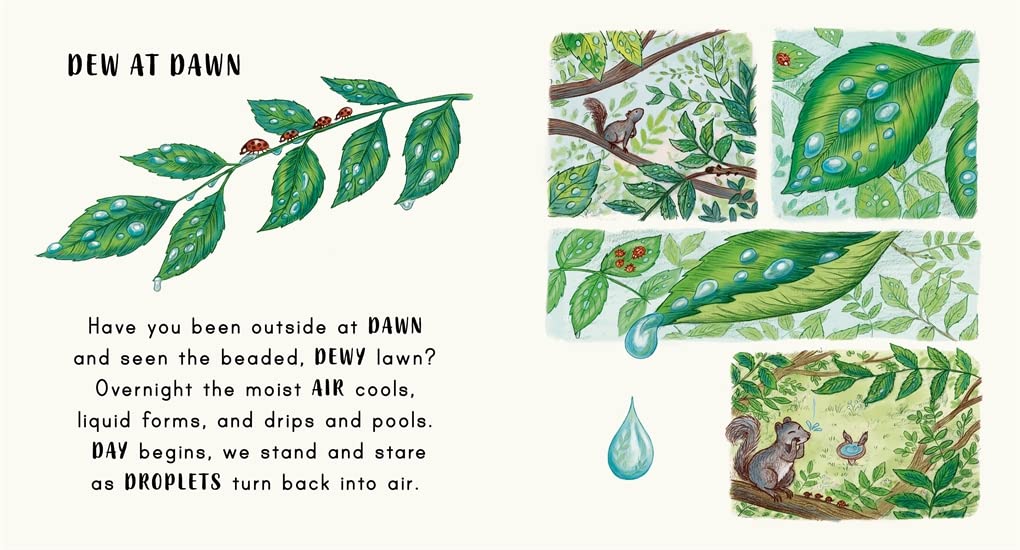Slow Down… Discover Nature on Your Doorstep: Bring calm to Baby's world with 6 mindful nature moments