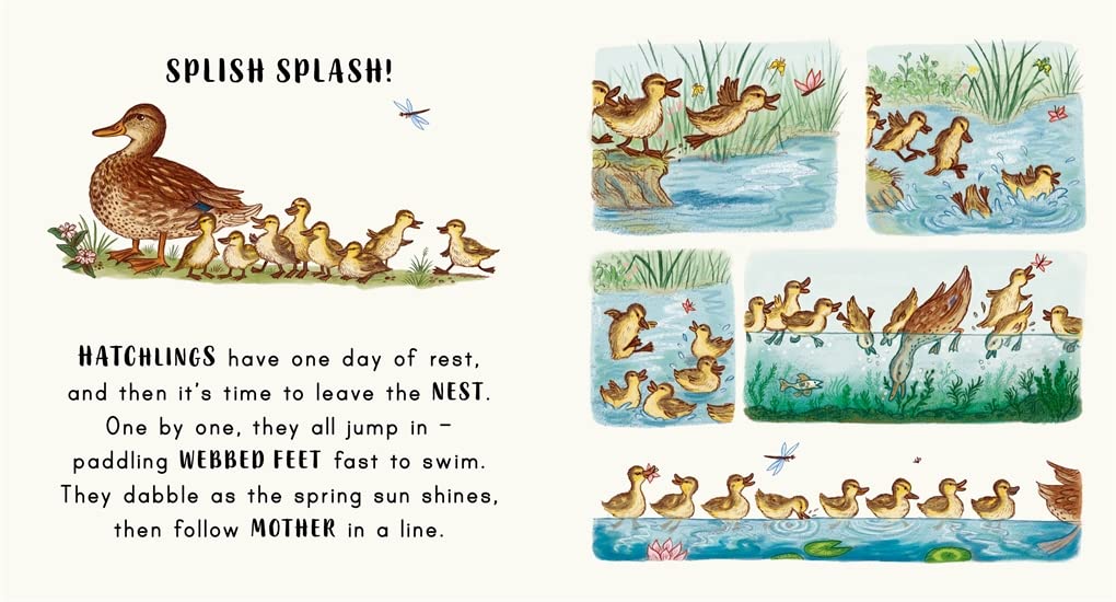 Slow Down… Discover Nature in the Park : Bring calm to Baby's world with 6 mindful nature moments