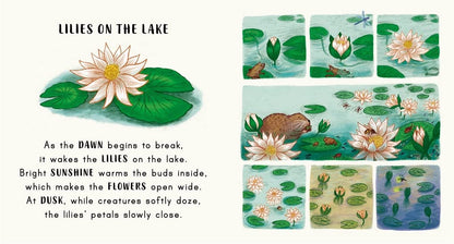Slow Down… Discover Nature in the Park : Bring calm to Baby's world with 6 mindful nature moments