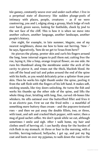 Storm Pegs : A Life Made in Shetland