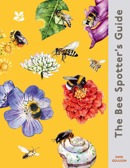 The Bee Spotter’s Guide: Discover Britain’s Bees with This Beautifully Illustrated Little Guide