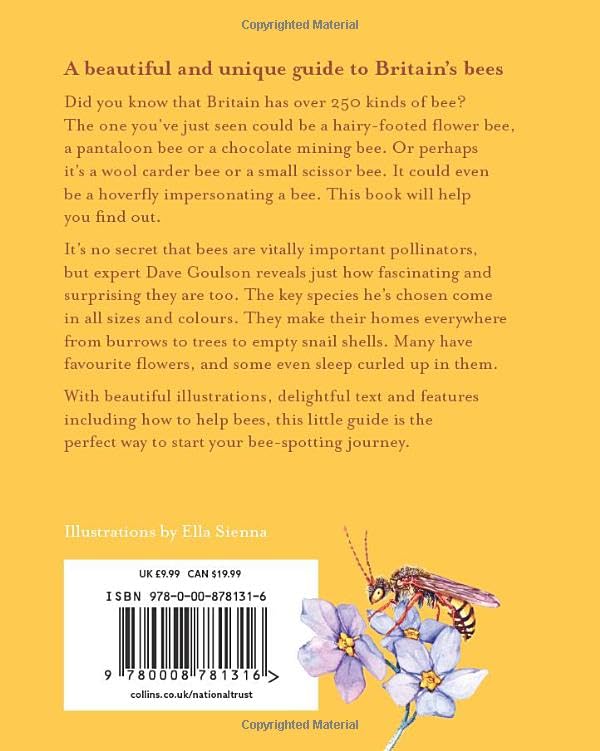 The Bee Spotter’s Guide: Discover Britain’s Bees with This Beautifully Illustrated Little Guide