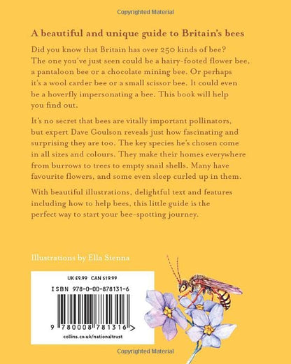 The Bee Spotter’s Guide: Discover Britain’s Bees with This Beautifully Illustrated Little Guide
