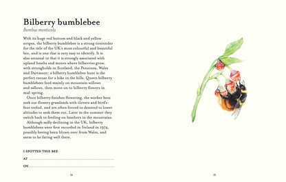 The Bee Spotter’s Guide: Discover Britain’s Bees with This Beautifully Illustrated Little Guide