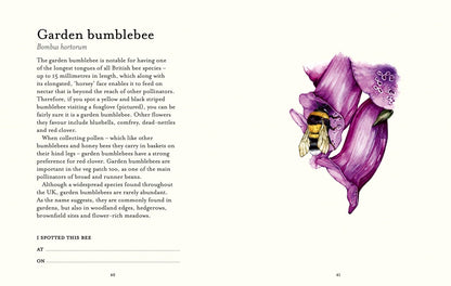 The Bee Spotter’s Guide: Discover Britain’s Bees with This Beautifully Illustrated Little Guide