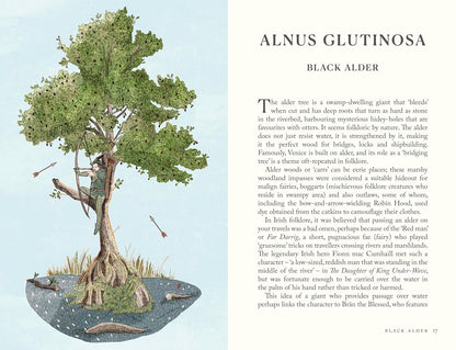 Folklore of Trees: The fascinating stories behind nature's guardians