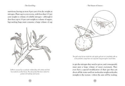 The Good Bug