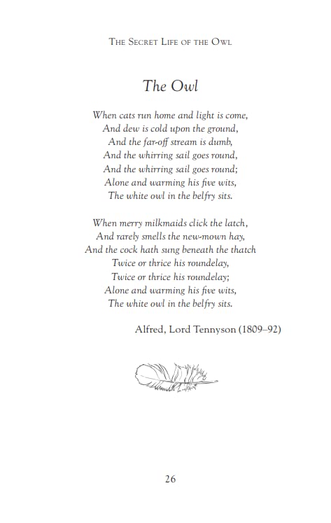 The Secret Life of the Owl