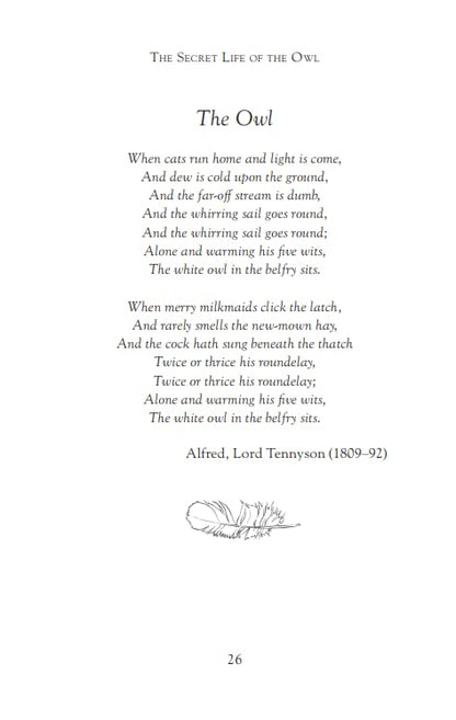 The Secret Life of the Owl