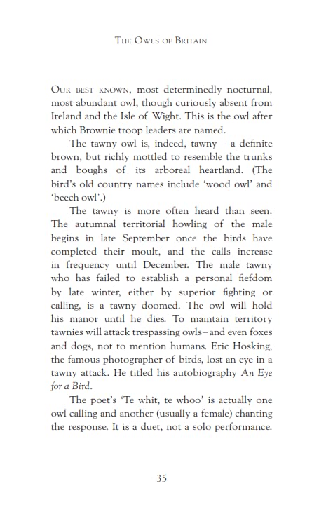 The Secret Life of the Owl