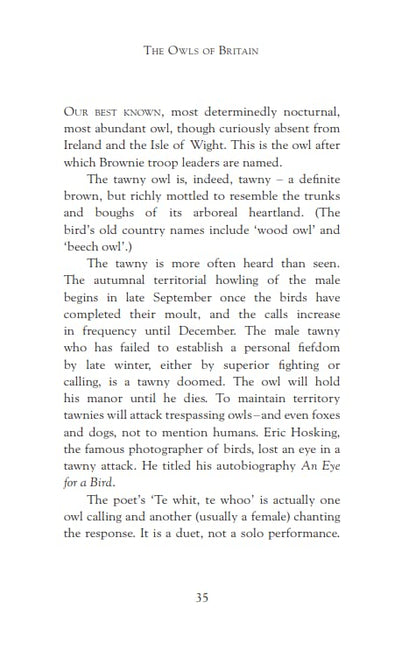 The Secret Life of the Owl