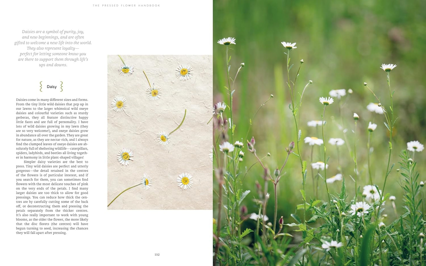 The Pressed Flower Handbook : Simple Methods for Connecting with Nature and Preserving the Beauty of the Garden through the Seasons - Grow, Gather, Press, Create