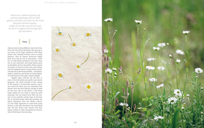 The Pressed Flower Handbook : Simple Methods for Connecting with Nature and Preserving the Beauty of the Garden through the Seasons - Grow, Gather, Press, Create
