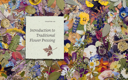 The Pressed Flower Handbook : Simple Methods for Connecting with Nature and Preserving the Beauty of the Garden through the Seasons - Grow, Gather, Press, Create