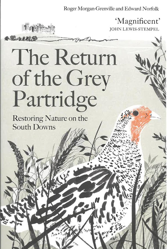 The Return of the Grey Partridge: Restoring Nature on the South Downs
