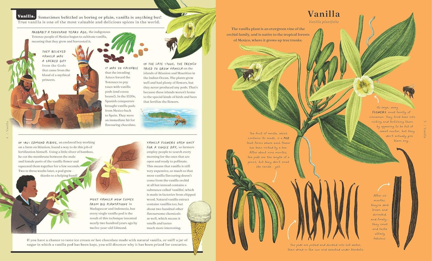 The Stuff that Stuff is Made of: Things We Make With Plants