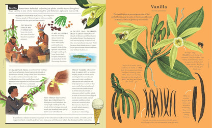 The Stuff that Stuff is Made of: Things We Make With Plants