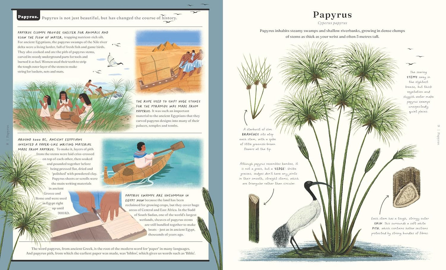 The Stuff that Stuff is Made of: Things We Make With Plants