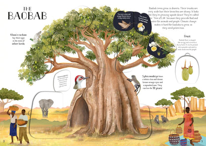 The Tree of Life : A lift-the-flap book about the amazing animals that live in trees around the world